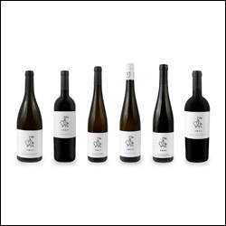 Weingut Frey Corporate Design